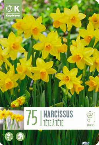 Landscape Bag Narcissus Tete A Tete