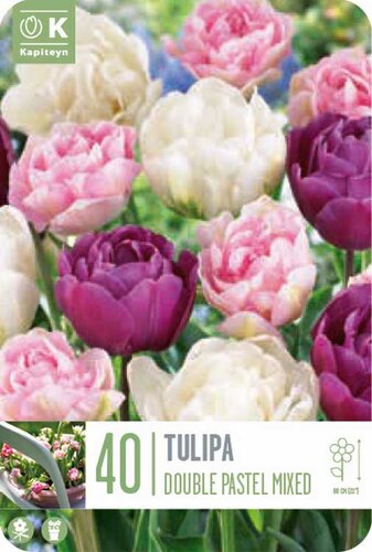 Landscape Bag Tulip Double Pastel Mixed Colours