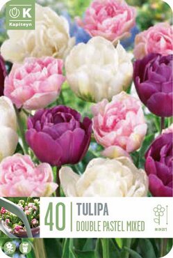Landscape Bag Tulip Double Pastel Mixed Colours
