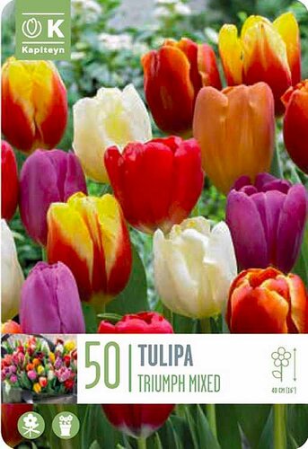 Landscape Bag Tulip Triumph Mixed Colours
