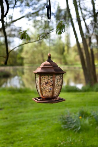 Lantern Seed Feeder - image 4