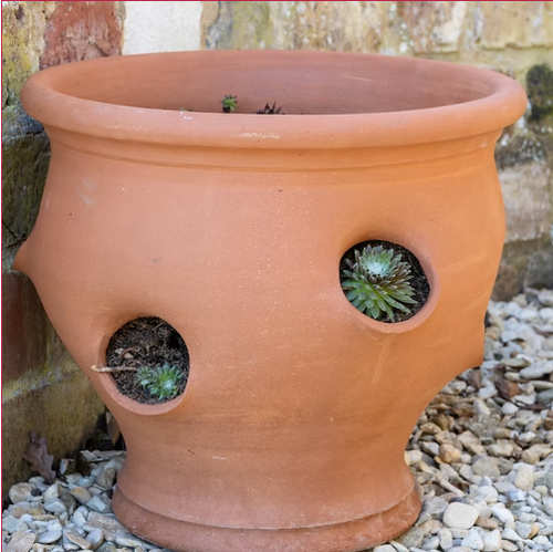 Medium Strawberry Pot - image 1