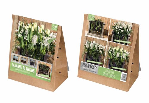 Lasagne Pack Bulbs White