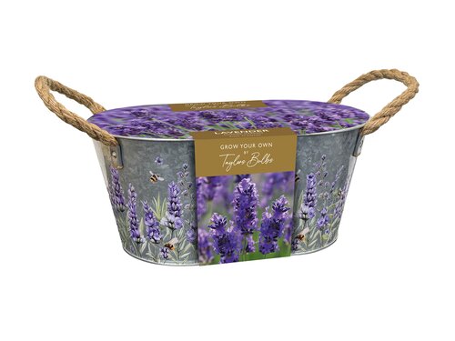 Lavender Zinc Planter