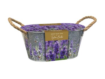 Lavender Zinc Planter