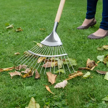 Lawn/Leaf Rake Long Handle Stainless Steel - image 2