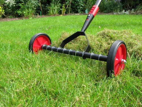 Lawn Scarifyer - image 1