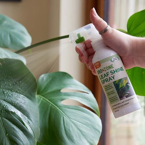 Leaf Shine Spray
