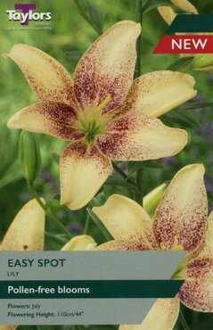 Lily Easy Spot