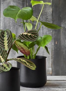 Lisbon Pot Cover (Anthracite, 24cm) - image 2