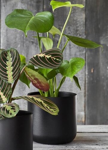 Lisbon Pot Cover (Anthracite, 20.5cm) - image 2