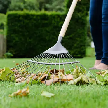 Long Handled Lawn/Leaf Rake (Carbon Steel) - image 3