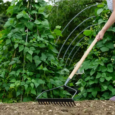 Long Handled Soil Rake Carbon Steel - image 2