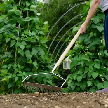 Long Handled Soil Rake Stainless Steel - image 2