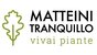 Matteini