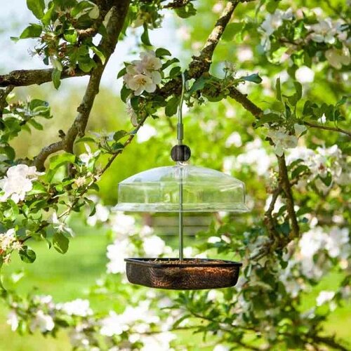 Mealworm & Suet Feeder - image 1