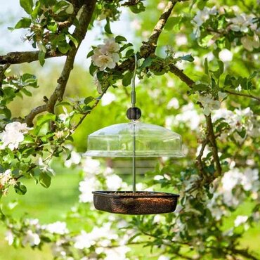 Mealworm & Suet Feeder - image 1