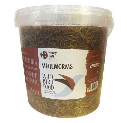 Mealworm Tub 1.5Kg