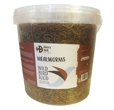 Mealworm Tub 1.5Kg