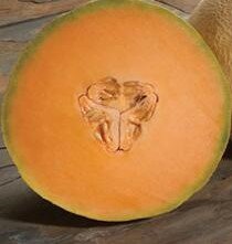Melon Sweetheart 9cm