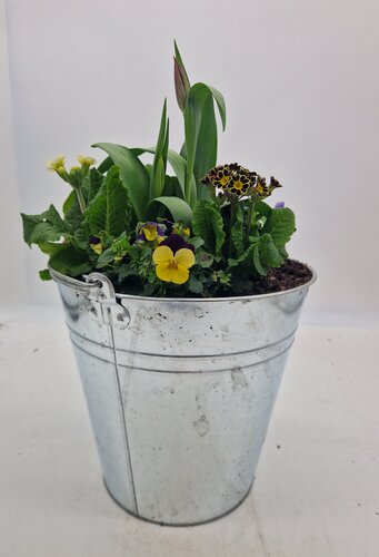 Metal Bucket 28cm - image 1