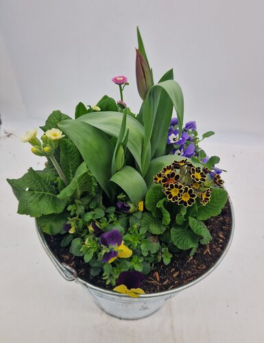 Metal Bucket 28cm - image 2