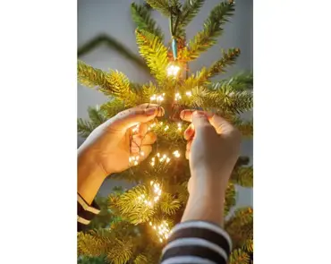 Micro LED Tree Light w/flash Warm White / Green Cable 210cm - image 3