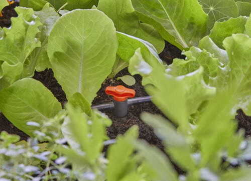 Micro Shut-Off Valve 3/16" - image 4