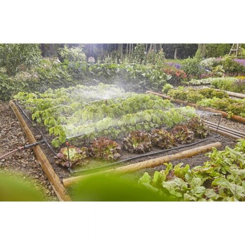 Micro Start Set For Veg & Flower Patches - image 2