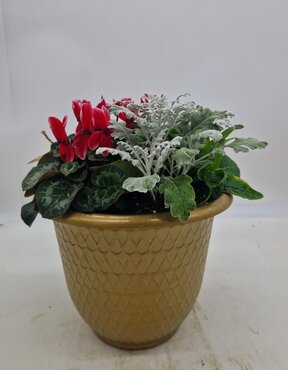 Minerva Gloss Gold Planter 31cm
