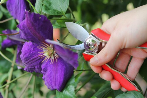 Mini Bypass Pruner - image 1