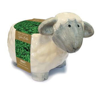 Sheep Planter