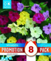 Mirabilis