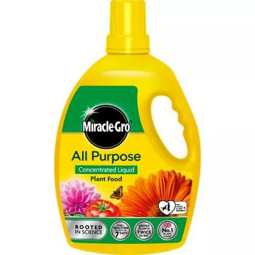 Miracle-Gro A/P Concentrate 2.5L