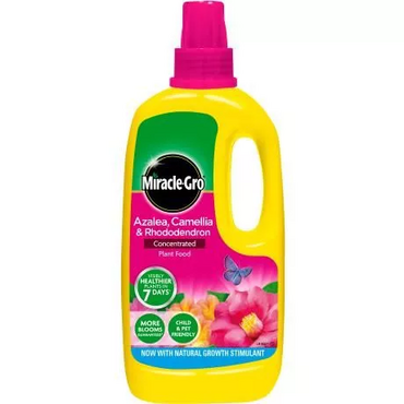 Miracle-Gro Azalea & Rhodo Pla