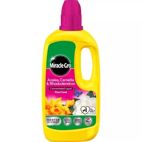 Miracle-Gro Ericacous Plant Feed Concentrate Liq 800ml - image 1