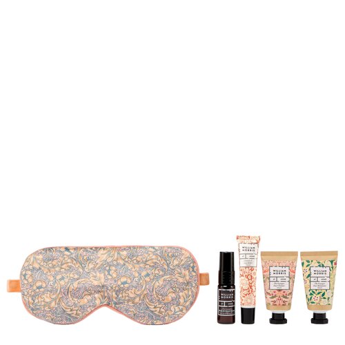 Morris Voyager In Flight Kit - image 2