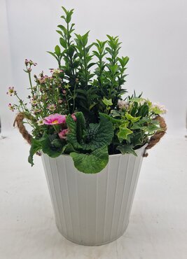 Mothers Day Large Zinc Planter 28cm