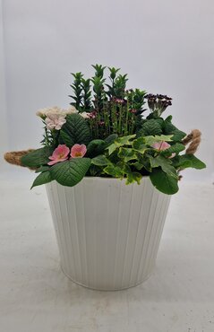 Mothers Day Medium Zinc Planter 23cm