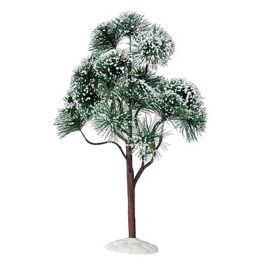 Mountain Pine Extra Large