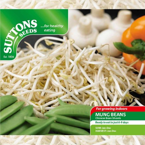 Beansprouts (Mung Bean) - image 2