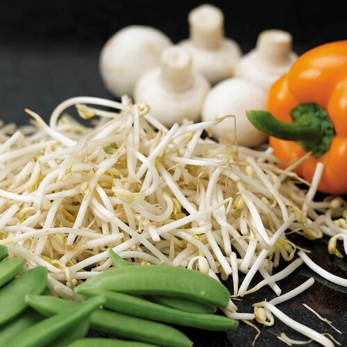 Beansprouts (Mung Bean) - image 1