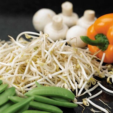 Beansprouts (Mung Bean) - image 1