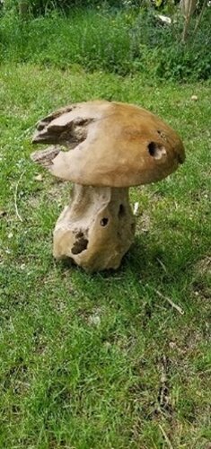 Mushrooms 30cm