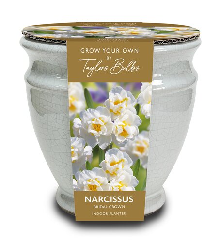 Narcissi Ceramic Crackle Urn