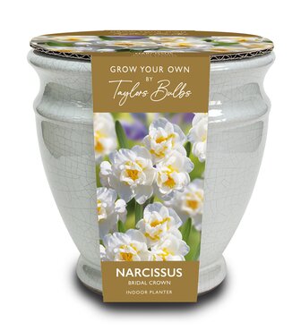 Narcissi Ceramic Crackle Urn