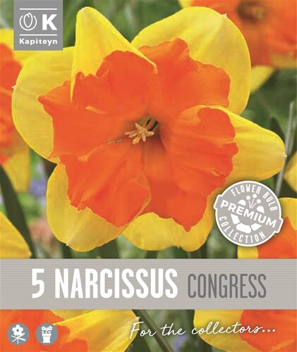 Narcissus Collar Congress