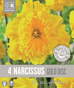 Narcissus Collar Gold Disc