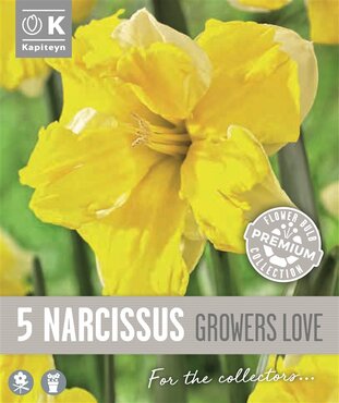 Narcissus Collar Growers Love