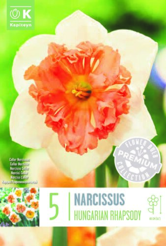 Narcissus Collar Hungarian Rhapsody